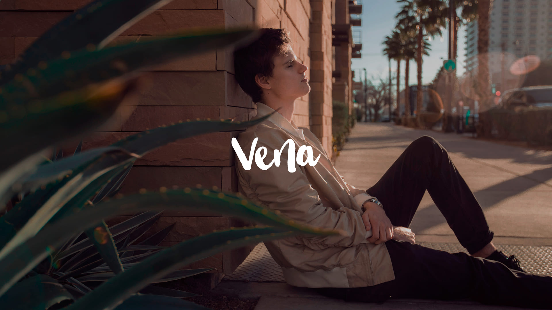 Vena